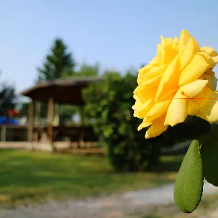 Ai Vigneti Farm stay Ponti sul Mincio